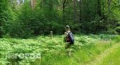 Поход в лес обернулся уголовным делом для студента из Кстовского района