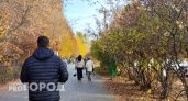 Полицейские ищут деньги жителя Арзамаса, который поверил в "выгодную сделку" и остался без миллиона рублей