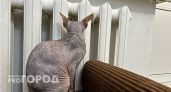 Как нижегородцам снизить расходы на отопление до 10 % и сохранить тепло дома