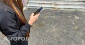 Нижегородка осталась без "красивого" номера для авто и лишилась денег, посидев в интернете
