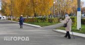 Пенсионерка из Дзержинска повезла 800 000 рублей в Москву, испугавшись обвинений в госизмене 