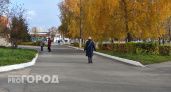 Участницу мошеннической схемы задержали в Балахне