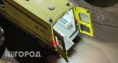 "Зацеперов" из Воронежа и Ставрополя доставили в Нижний Новгород на лечение