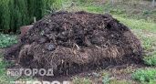 За зиму перегниют толстые ветки и ботва: как ускорить компост и не переполнить кучу - на заметку дачникам