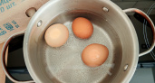 В какую воду нужно бросать яйца при варке - в холодную или горячую: опытная хозяйка дала ответ