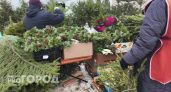 Где в Нижнем Новгороде будут продавать новогодние елки: список мест