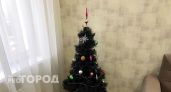 Нижегородцы стали больше тратить на новогоднюю елку и игрушки