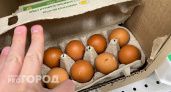Купил яйца в "Чижике" за 69 рублей – и только дома понял, какие они: делюсь впечатлением