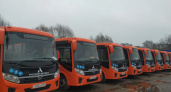 Еще 50 новых автобусов поступило в Нижний Новгород