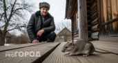 Как мыши ищут себе дом на зиму: отпугиваем их раз и навсегда