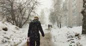 Снегопады и мощный ветер ожидаются в Нижегородской области в ближайшие сутки