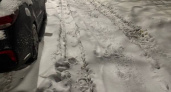 В Нижнем Новгороде завели около 500 административных дел из-за плохой уборки снега во дворах