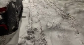 В Нижнем Новгороде завели 500 дел за плохую уборку снега и ДТП с Volkswagen - главные новости за 9 января