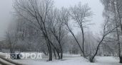 Нижегородцев ждет морозная и бесснежная суббота