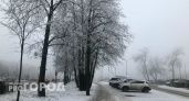 Небольшой снег ожидает нижегородцев во вторник