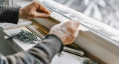 Из окон не продувает даже в метель: этот предмет на подоконнике блокирует сквозняки и источает ароматы леса