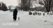 Жительница Нижегородской области нашла в себе силы встать на путь исправления и вернуть детей из детдома