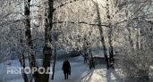 Мороз и снегопад ожидаются в Нижегородской области посреди недели