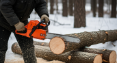 Острая как бритва: простой домашний метод заточки цепи бензопилы, о котором мастера предпочитают молчать