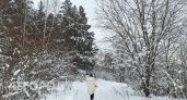 Резкое потепление до -2 придет в Нижегородскую область уже завтра