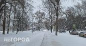 Февраль начнется в Нижнем Новгороде со снегопада