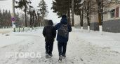 Нижегородцы забрали в семьи 176 сирот