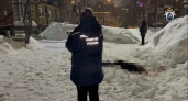 Девушка погибла от падения наледи в Нижнем Новгороде