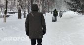 "Железный конь" нижегородца ускакал на чужие счета