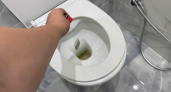 Перед выходом из дома бросаю чайный пакетик в унитаз - и горя не знаю: посоветовала знакомая горничная