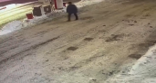 Один визит на заправку выдал вора с поличным в Нижнем Новгороде