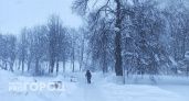 На Нижегородскую область вслед за Москвой накинется мощный снегопад уже ночью