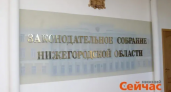 Нижегородская область планирует поддерживать соотечественников по примеру Москвы и Дагестана