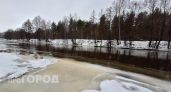 Нижегородцам напомнили об опасности нахождения на льду в водоемах 
