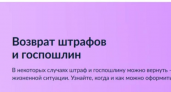 Нижегородцы смогут вернуть ошибочные штрафы за 30 дней через Госуслуги