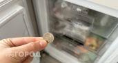Зачем класть монетку в морозилку: хитрость, которая спасет ваш холодильник и продукты 