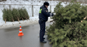 Полиция конфисковала 330 елок на 390 тысяч рублей в Нижнем Новгороде