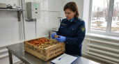 В нижегородском аэропорту изъяли 16 кг сухофруктов из Узбекистана