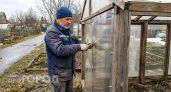 Выбросил поликарбонат после третьей зимы и накрыл теплицу материалом вдвое дешевле — служит уже семь лет