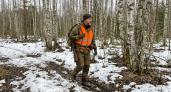Весенняя охота в Нижегородской области: открытие сезона с 1 апреля