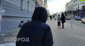 Нижегородец с уголовным прошлым решил устроить онлайн-шоппинг за счет своей приятельницы