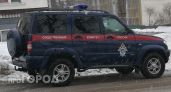 Бастрыкин потребовал доклады по делам о разбитой дороге в Павлово, бродячих собаках в Сарове и аварийном ДК в Дивеевском районе