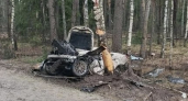 Тройная гибель в жутком ДТП в Ардатовском районе: Лексус вылетел в кювет и врезался в дерево