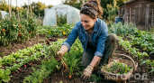 Дергать сорняки - прошлый век: умные огородники скупают в Светофоре рулонное средство с "особой" маркировкой для почвы и живут без хлопот