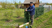Муж за 15 минут закрыл весь участок: нашли в «Чижике» и удивились цене - забудьте про дорогой профлист