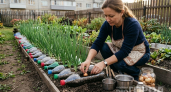 Соседи покупают капельный полив, а я копаю бутылки: вот что ещё из пластика работает лучше магазинного инвентаря  