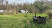В Нижегородской области выявили более 100 случаев самозахвата земли в 2025 году