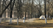 10 парков Нижнего Новгорода закроют на обработку от клещей с 4 мая