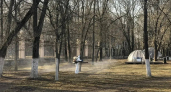 Нижегородские парки закроют на обработку от клещей