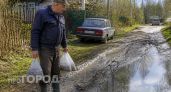 Соседи крутили пальцем у виска, а теперь делают только так: простой пакет с водой спасает урожай лучше химикатов