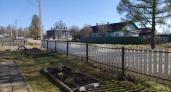 Закопайте тряпку в огороде прямо сейчас: через два месяца она расскажет всю правду о вашей земле